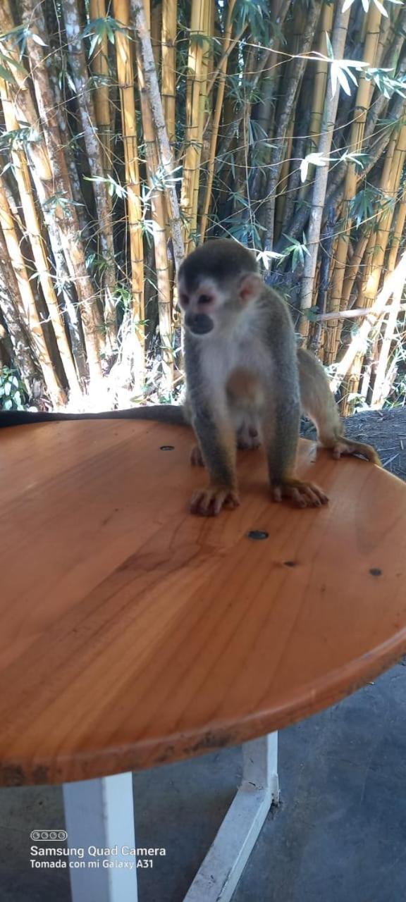 Grand Park Manuel Antonio - Adults Only Hotell Exteriör bild