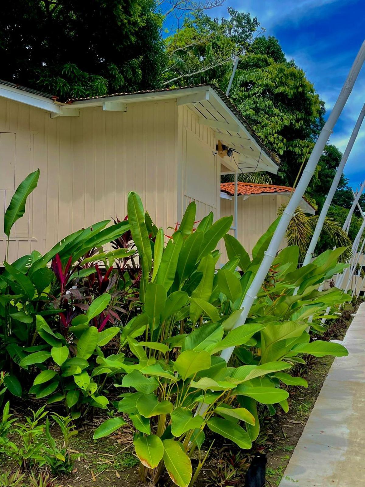 Grand Park Manuel Antonio - Adults Only Hotell Exteriör bild